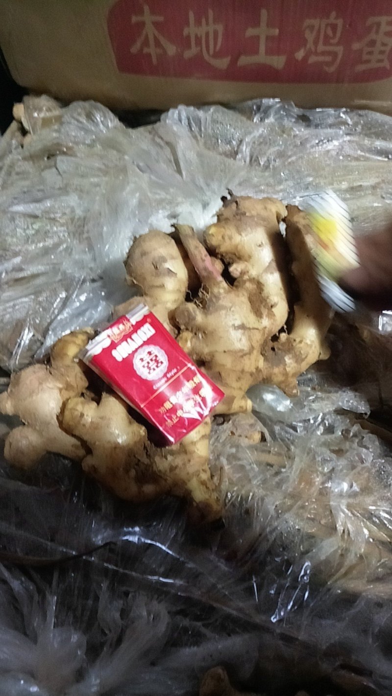 广西贺州南乡大肉生姜