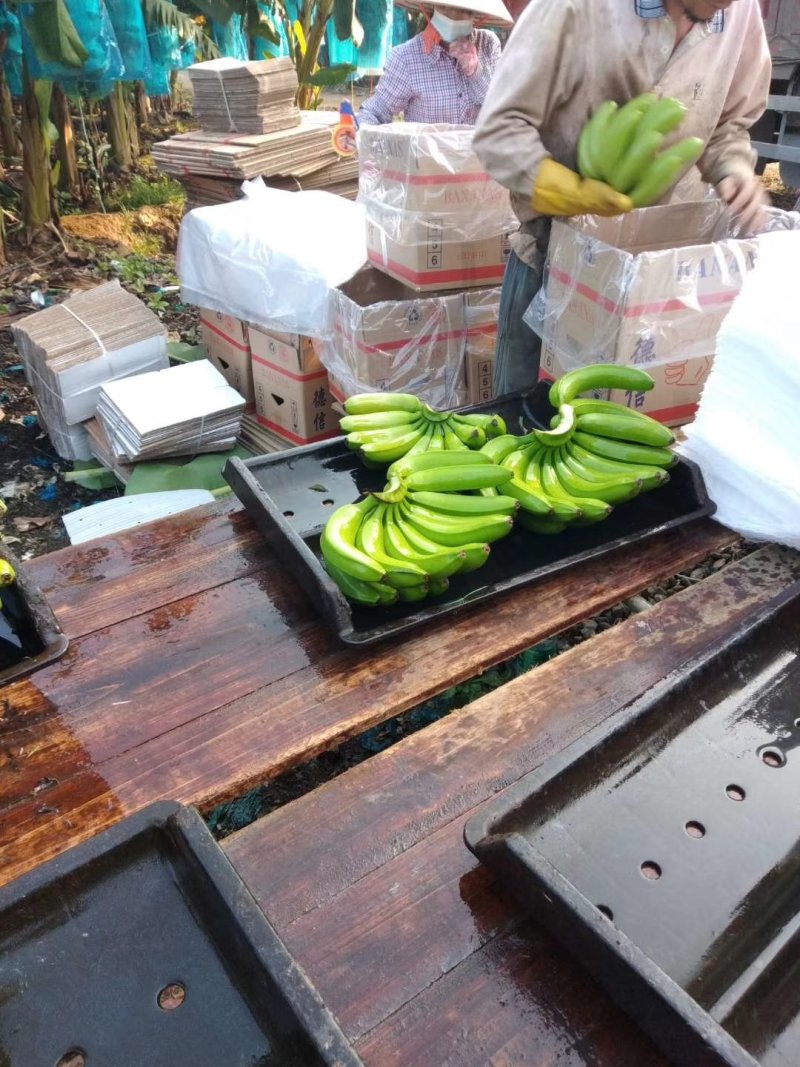 香蕉