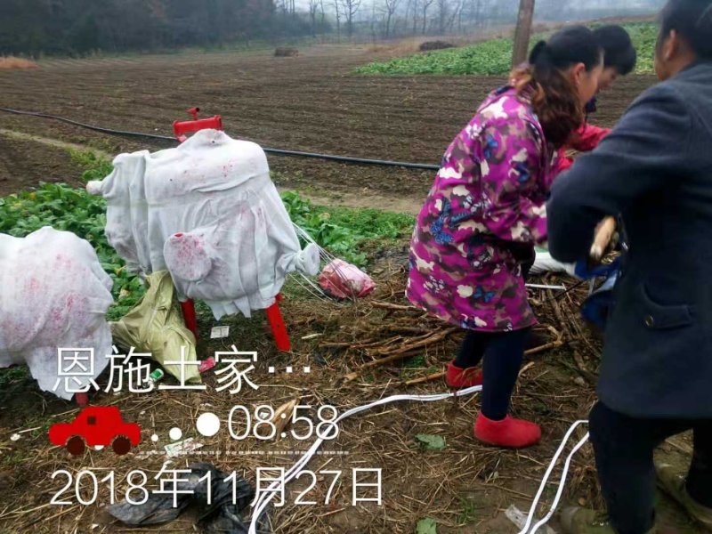 过滤器网式过滤器碟片过滤器拆卸清洗方便