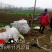 灌溉首部水肥一体化，过滤泥沙，漂浮物等杂质