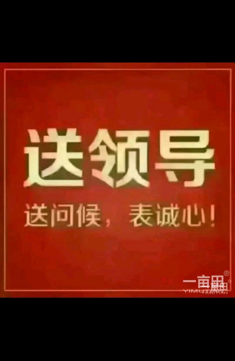 富平特产柿饼