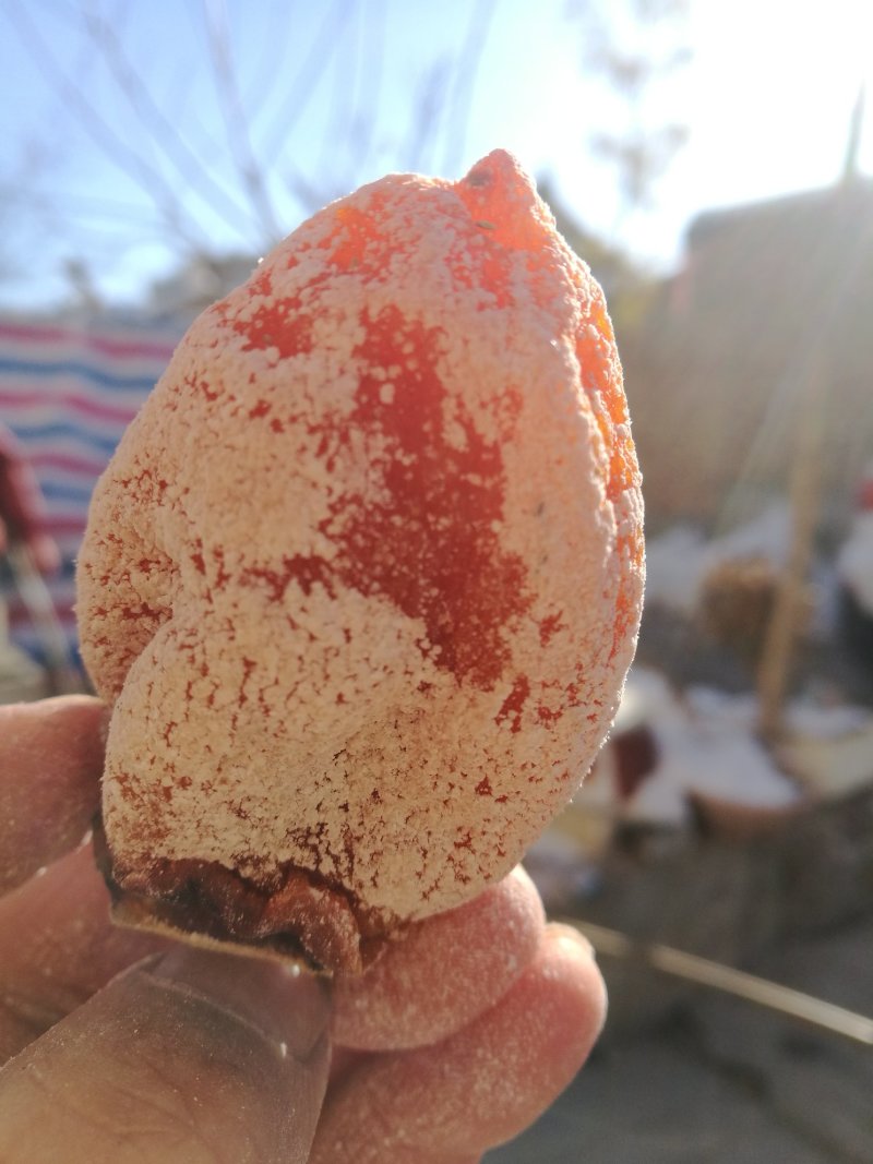正宗富平柿饼