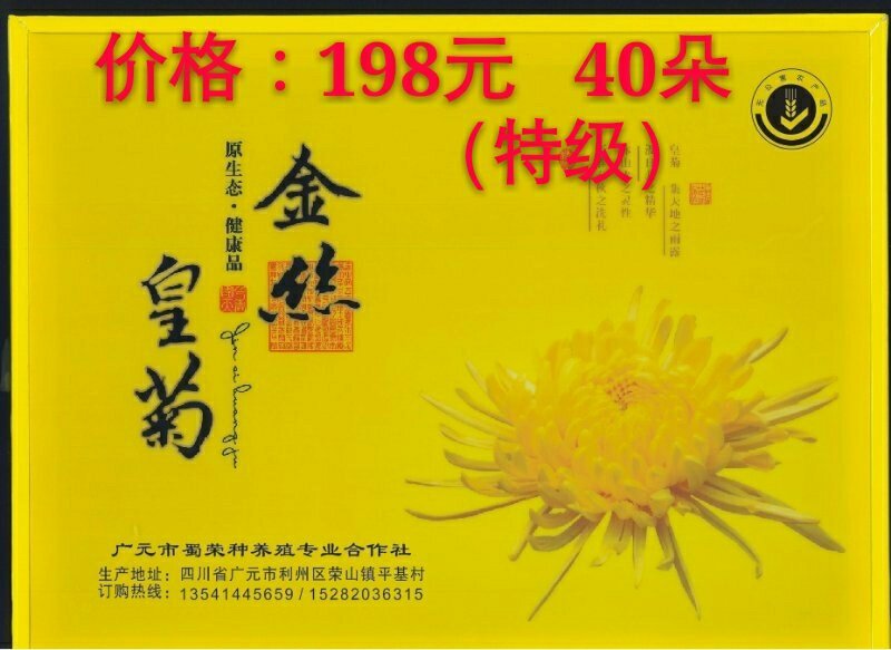 金丝皇菊
