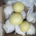 雪花梨产地大量一级雪花梨【白菜价】冷库/鲜货