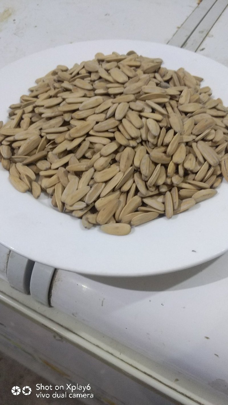 原味五香瓜子正宗口味包邮费