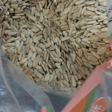 原味五香瓜子正宗口味包邮费