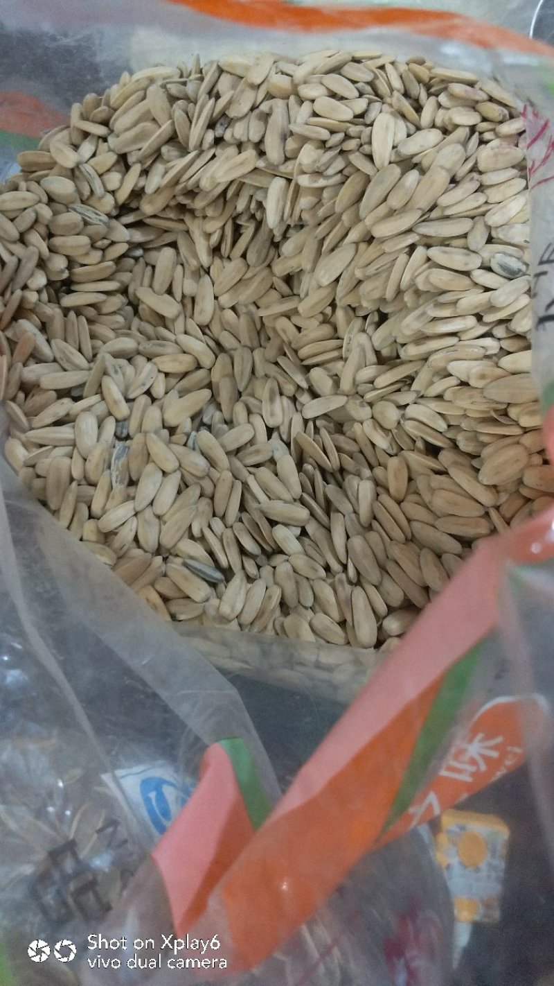 原味五香瓜子正宗口味包邮费