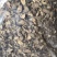 广豆根山豆根广西1公斤起批无硫无添加不包邮