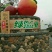 陕西富平曹村柿饼火热招商中