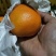 爱媛套袋高次🍊