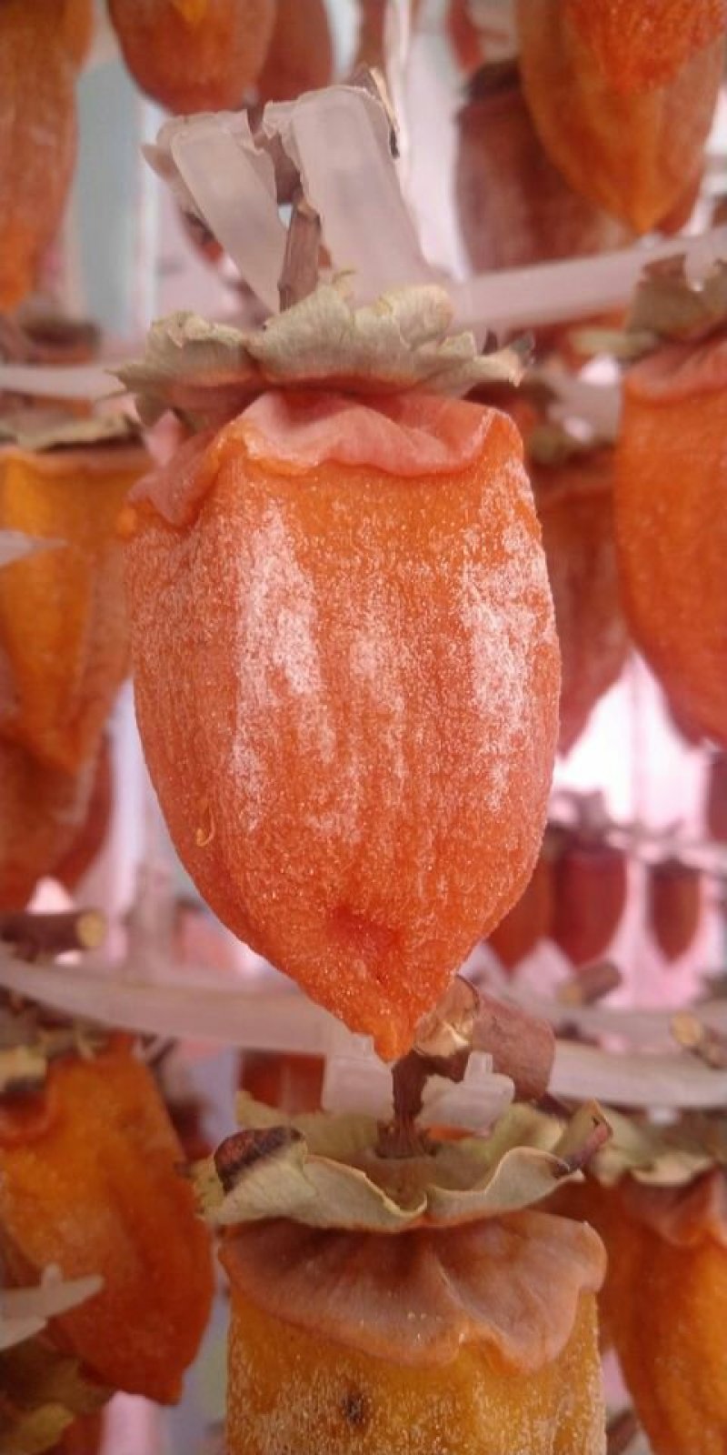 富平柿饼