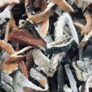 陈皮丝个子