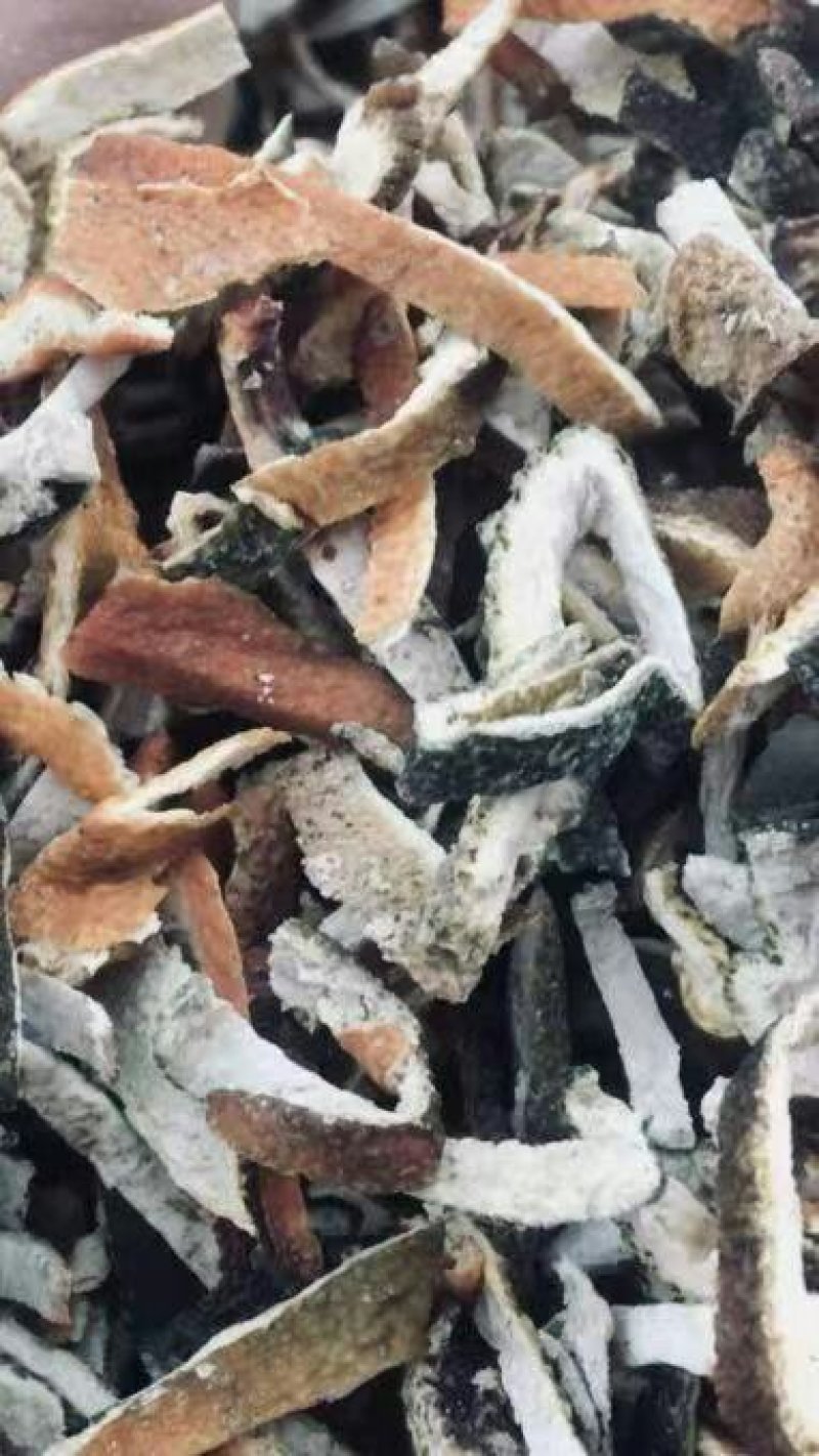 陈皮丝个子