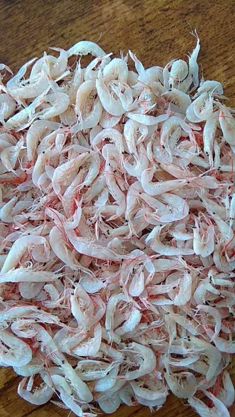 虾皮