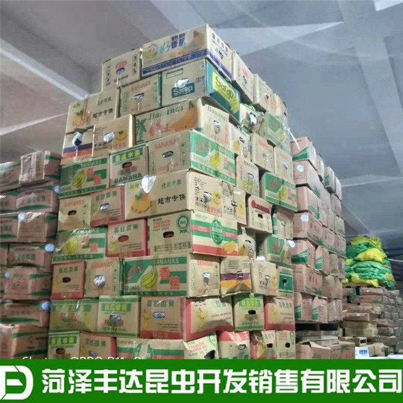 优质蟋蟀干蛐蛐干油葫芦土折子批发零售，各种规格