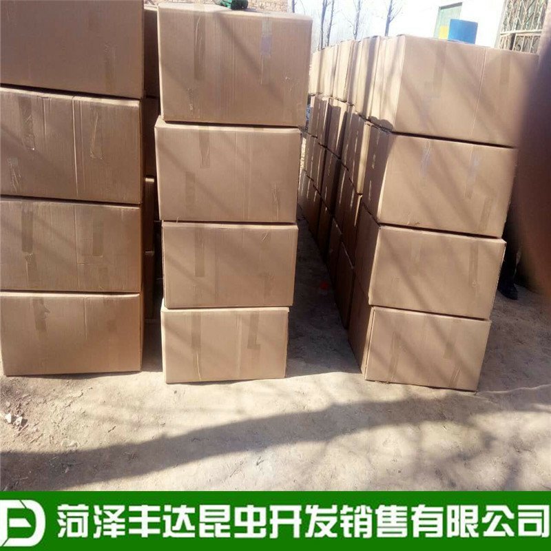 优质蟋蟀干蛐蛐干油葫芦土折子批发零售，各种规格