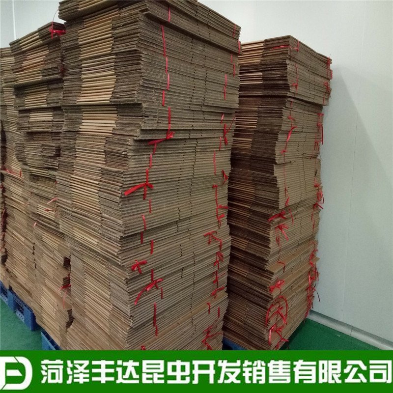 新蟋蟀冷冻蟋蟀冰鲜蛐蛐土折子油葫芦高蛋白