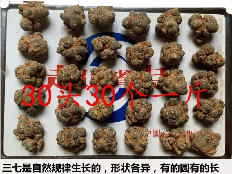 【产地直供】文山春三七【无硫】20头帽子三七磨粉包邮