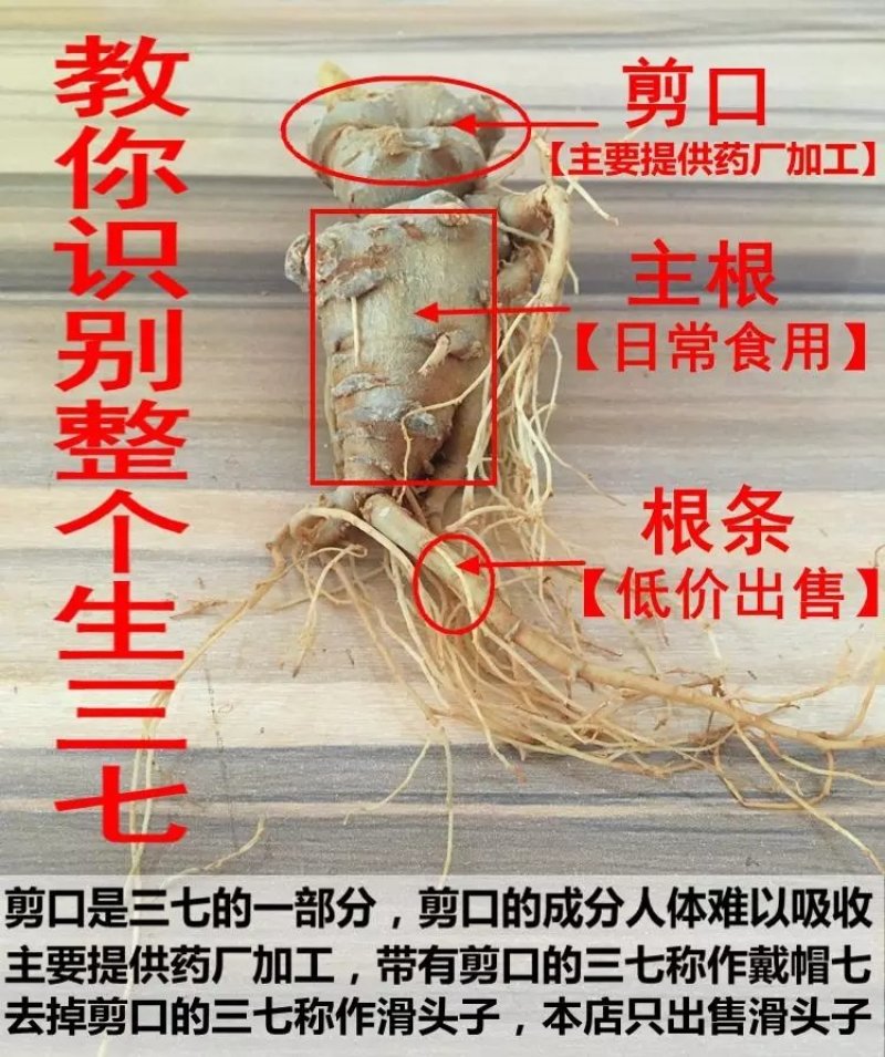 【产地直供】文山春三七【无硫】20头帽子三七磨粉包邮