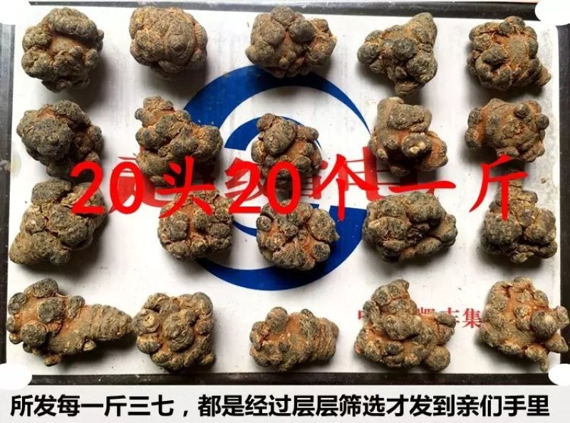 【产地直供】文山春三七【无硫】20头帽子三七磨粉包邮