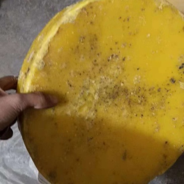 出售中蜂蜂蜡，药用蜂蜡，