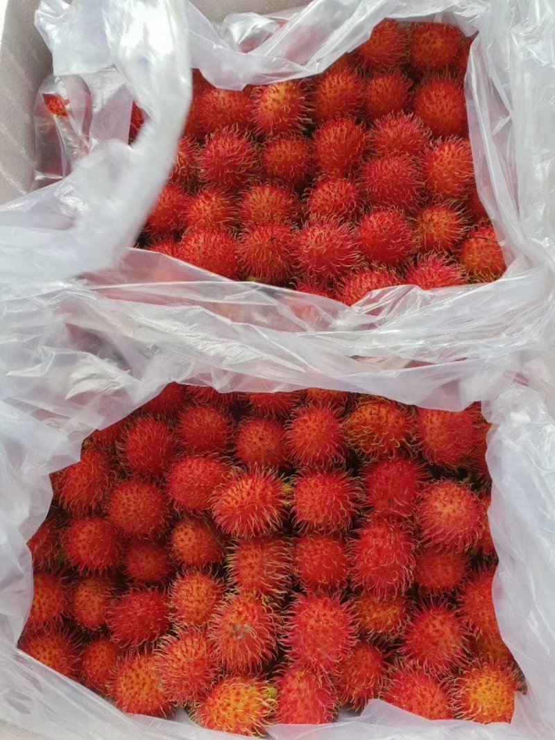 越南红毛丹