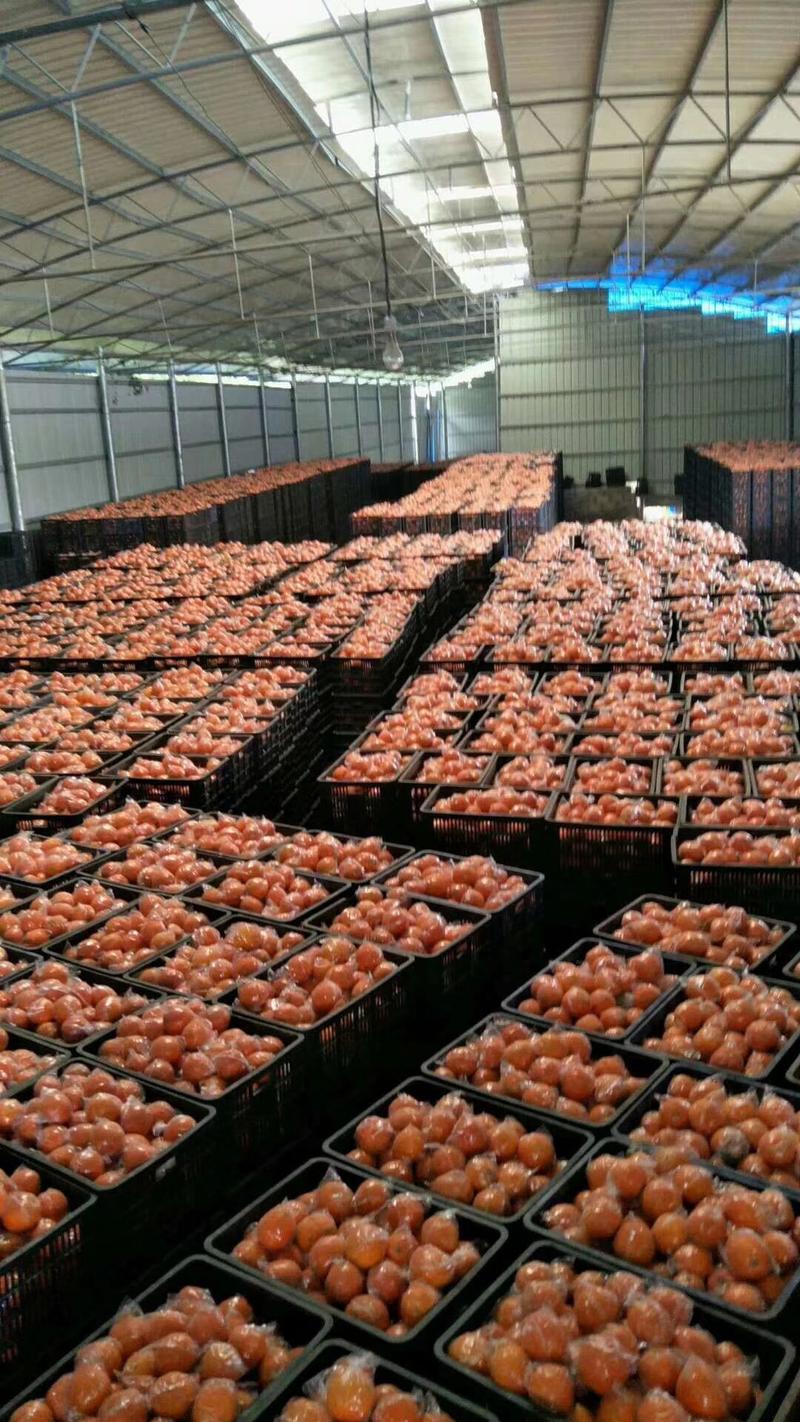 优质纽荷尔脐橙，实力代办，产地对接电商，团购，批发商，