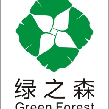 大量供应1-100公分银杏树