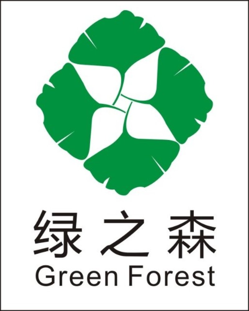 大量供应1-100公分银杏树