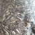 葵花籽，今年的新籽，熟瓜子一包是4.8斤。包邮