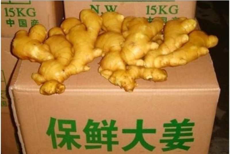 山东小黄姜大姜常年供应2元起货源充足价格优惠全国发货
