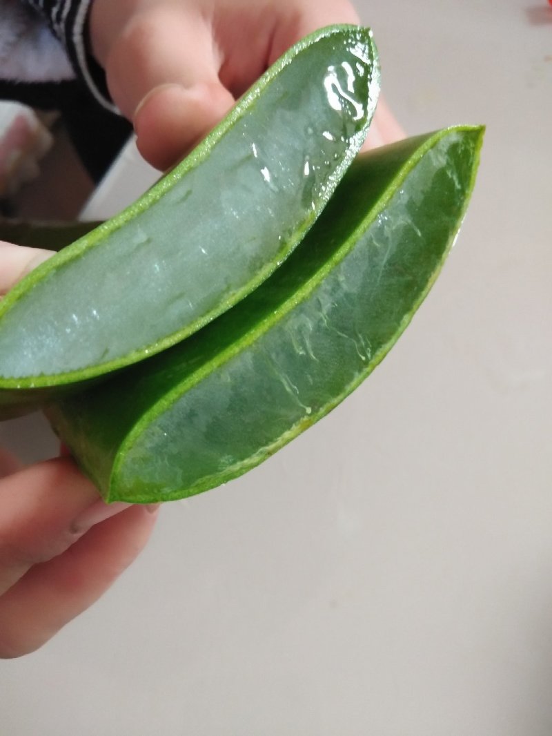 美容院专用芦荟整颗包邮
