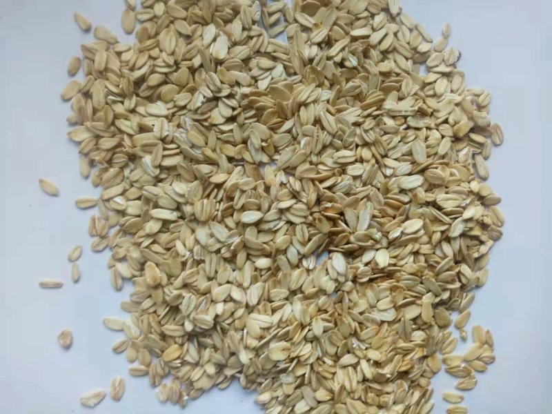 燕麦片系列