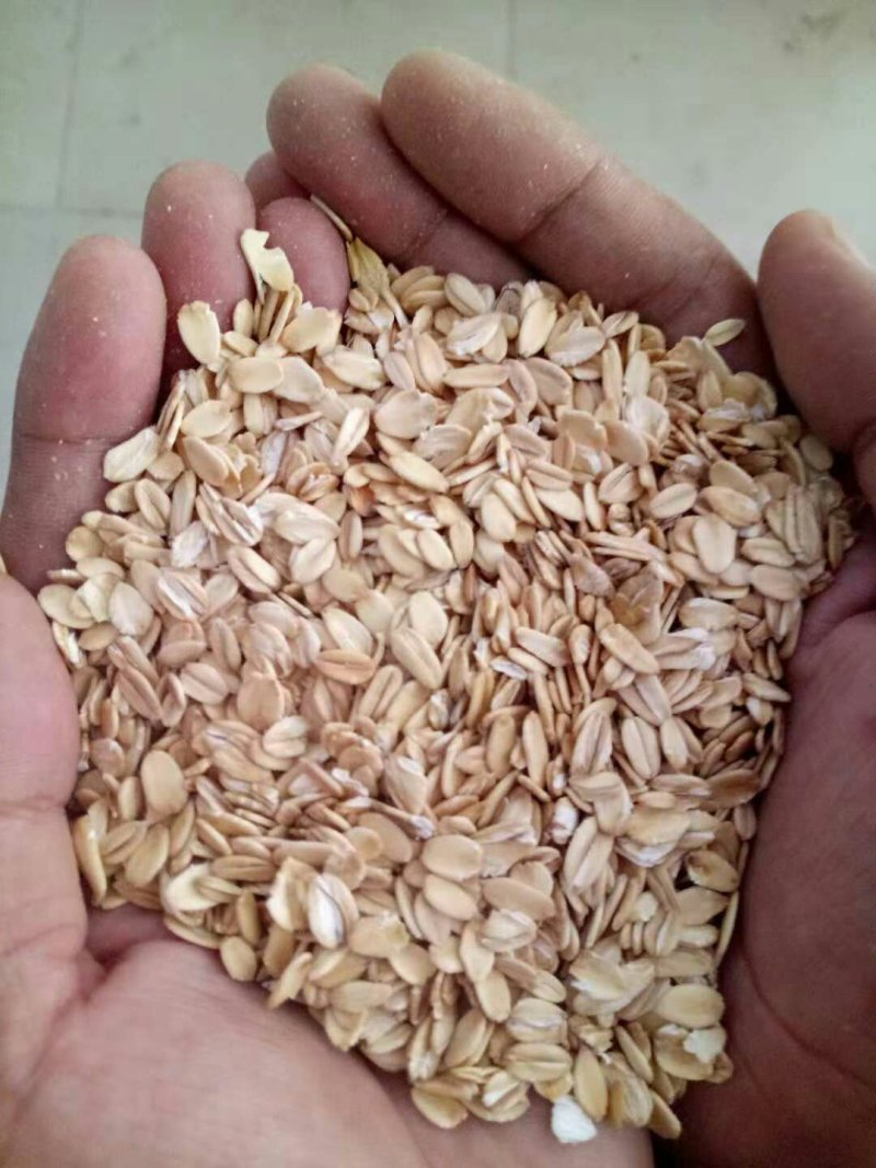 燕麦片系列