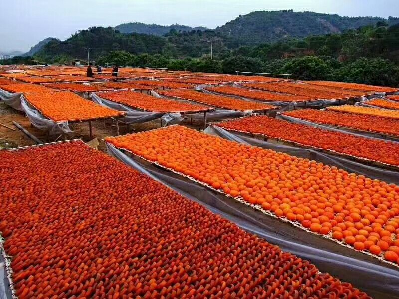柿饼