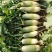 里外青萝卜