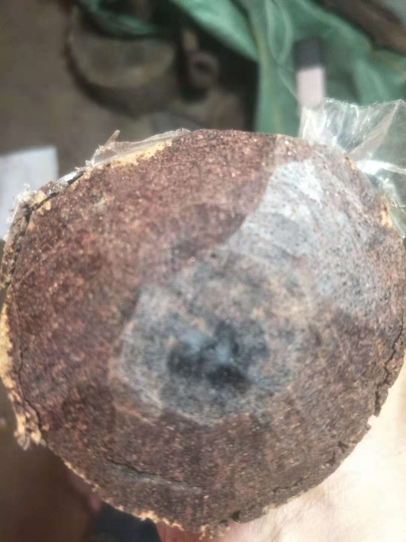缅甸降真香香料一手货源