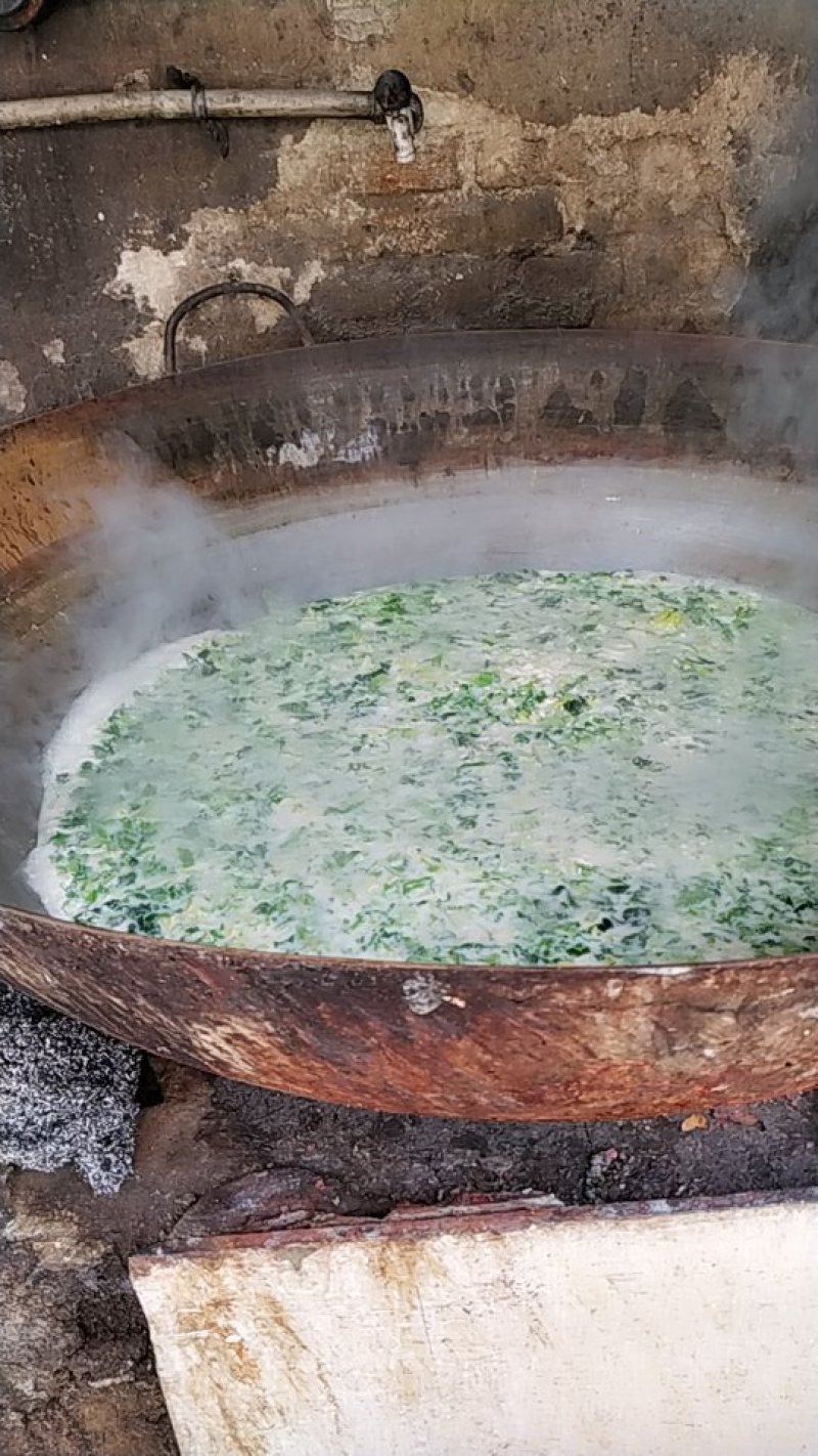 正宗酸汤豆腐