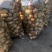 荷兰十五土豆山东土豆质量杠杠滴货源充足