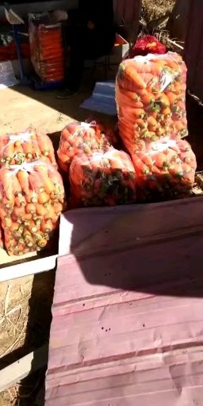 根茎类优质胡萝卜大量上市欢迎前来采购