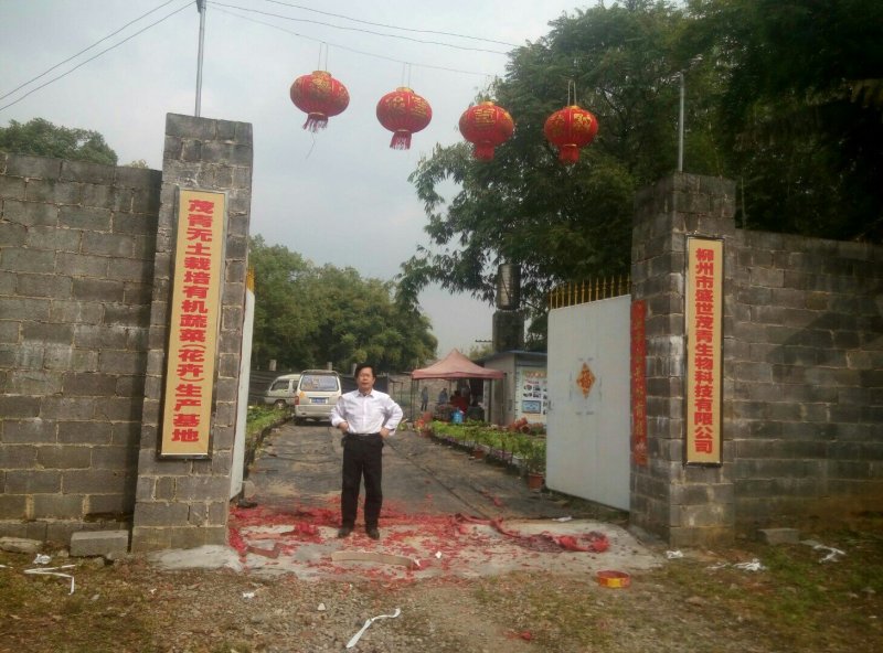 营养土有机土基质土无土栽培