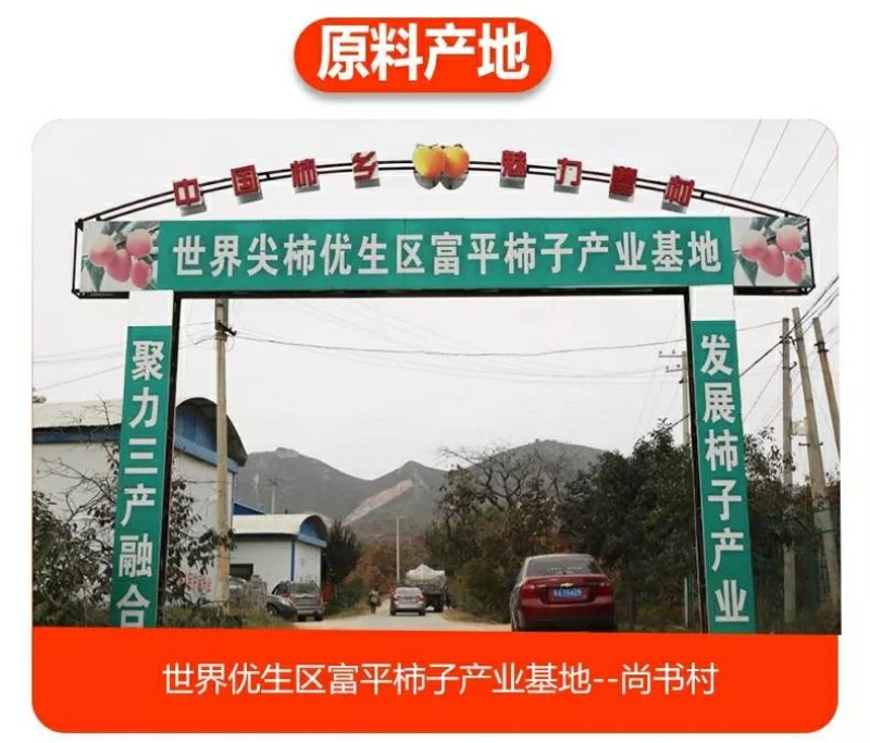 陕西富平吊霜柿饼