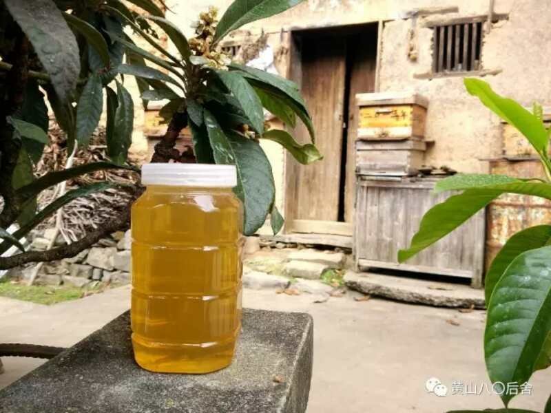 黄山土蜂枇杷蜜瓶/2斤