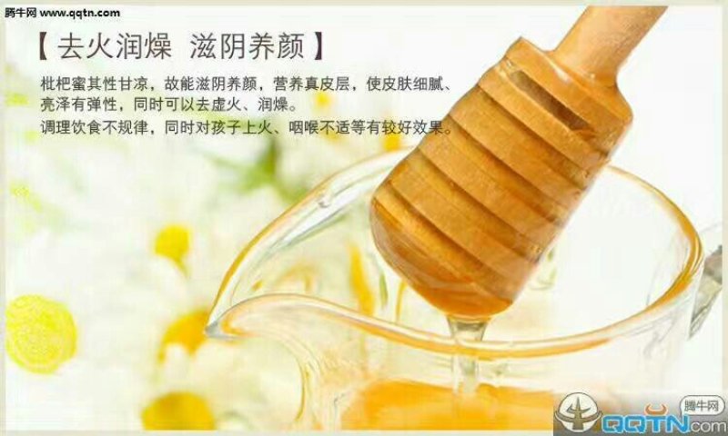 黄山土蜂枇杷蜜瓶/2斤