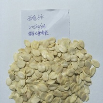 西瓜仁