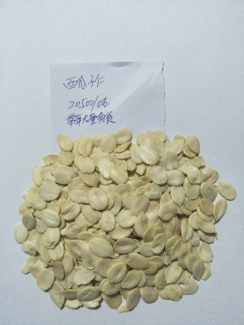 西瓜仁