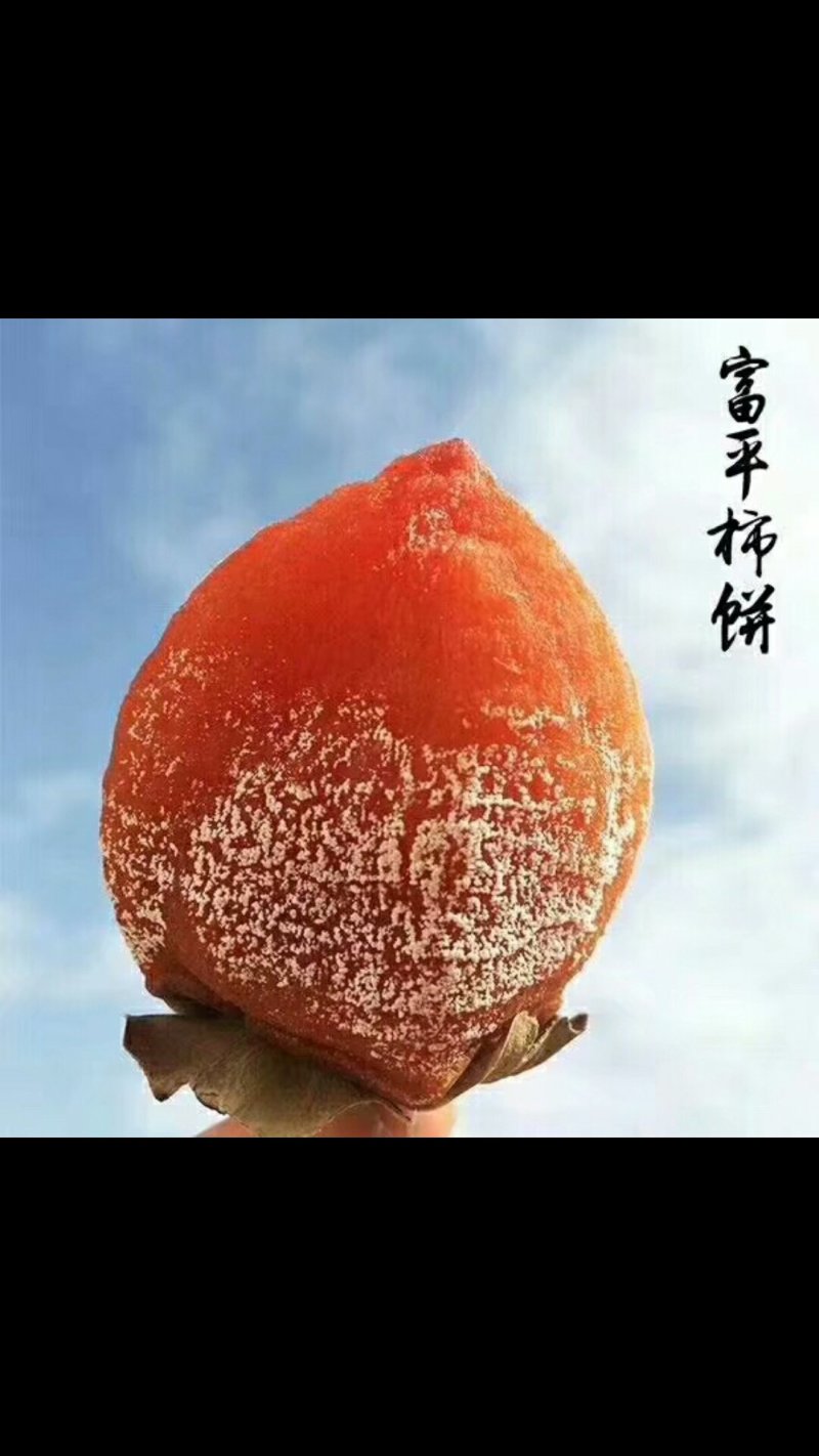 陕西富平县曹村镇