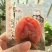 柿饼