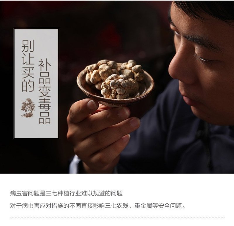 云南文山25头足干.厂家批发.促销远销美国，药企合作伙伴