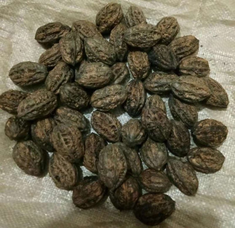 核头